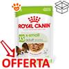 Royal Canin SHN Dog X-Small Adult - Bustina Da 85 Gr - CONFEZIONE RISPARMIO