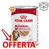 Royal Canin SHN Dog Medium Ageing - Lattina Da 410 Gr - CONFEZIONE RISPARMIO