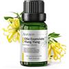 AMYRON Olio Essenziale Ylang Ylang 15ml AMYRON | Canaga Odorata | Naturale E Puro Al 100% | Ideale Per Aromaterapia E Uso Terapeutico Diffusore Oli Essenziali | Massaggi | Uso Alimentare Senza OGM