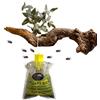 Leddy Living Trappola Biologica per Mosche e Insetti con Esca Naturale - Senza Veleni, Ecologica, Sicura per Umani e Animali - Facile da Usare, Effetto Duraturo, Pronta in 1 Minuto