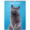 DRAEGER Calendario da parete decorativo 29 x 39 cm 2025 - gennaio a dicembre 2025 - Gatti
