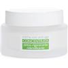 LABCARE CREMA VISO CONC DETOX