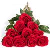 DuHouse 10 rose finte fiori di seta artificiali fiori di rosa finto fiore lunghi steli bouquet per organizzare matrimoni centrotavola festa casa decorazione cucina (Rosso)