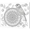 Pintcolor 7806.0 Telaio con Tela Stampata da Colorare, Legno di Abete; Cotone, Bianco/Nero, 40 x 50 x 3.5 cm , 100% Made in Italy