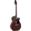 Applause E Chitarra acustica Wood Classics AEO96-M Orchestra Model Electro