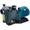 Calpeda International Pompa Autoadescante Per Piscina MPCM 51 Calpeda 66E10051000