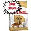 ROYAL CANIN CANE COCKER ADULT 12 KG