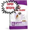 ROYAL CANIN CANE GIANT ADULTO 15 KG