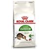 ROYAL CANIN GATTO ADULTO OUTDOOR 2 KG