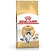 ROYAL CANIN GATTO ADULTO NORVEGESE 2 KG