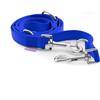 Record - Guinzaglio Addestramento per Cani - Realizzato in Nylon - Dotato di Moschettone in Metallo -Molto Resistente - Colore Blu - Taglia L - 2,3 cm - Lunghezza 220 cm