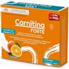 PALADIN PHARMA SpA Sanavita Carnitina Forte, Formula completa + Creatina, Carnosina, Beta-alanina per sostegno attività fisica - 14 bustine