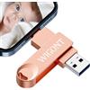 WIGONT 256GB Chiavetta USB per i phone Pendrive per Risparmiare più Foto e Video,Chiavetta per i phone Pen Drive Viene Fornito Con Adattatore di tipo C,Memory Stick Compatibile con i phone/Android/PC…