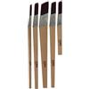 Coral Aspire 33749 - Set di 5 pennelli per pittura obliqui e lineari, profilo professionale per dettagli rapidi e precisi, finitura ultra liscia con emulsione o legno FSC lucido, 0,6 cm, 1,3 cm, 1,9