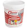 Genial Solver Anti-Condensa Termico - Pittura ANTIMUFFA per Intermi bianca - 0.75 L