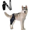 DKDDSSS Tutore per Il Ginocchio del Cane, Tutore Ginocchio Cane, Tutore Cane Zampe Posteriori