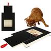 Jokapy Tiragraffi per cani con scatola per dolcetti, 35 x 25 x 3 cm, per cani e unghie, senza stress, per artigli per cani, tavola in carta vetrata, alternativa al tagliaunghie per cani (A)