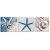 Feeby Frames Feeby Quadro su Tela Spiaggia 3 pezzi 150x50 cm Stampa Murale Fotografia Decorazione da parete Immagini Moderni per Soggiorno Camera da Letto Ufficio Cucina Spiaggia Conchiglie Bianco