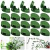 CRLLDPM 20 Pezzi Clip per Piante, Clip a Forma di Foglia per Piante, Parete per Piante Autoadesiva Clip, Clip di Fissaggio a Parete Rampicante per Piante, per Appendere Piante Rampicanti (Verde)