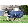 Rhinegold Cappotto impermeabile per cani, 28 (70 cm), blu navy