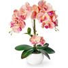 PASCH® Orchidee Artificiali in Vaso di Ceramica Lucida (40 cm), Come Reali, Fiori Artificiali