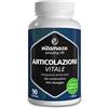 Vitamaze - amazing life Integratore Articolazioni con Glucosamina Condroitina MSM + Acido Ialuronico Alto Dosaggio, Glucosamina Complex di 90 Capsule, Naturale senza Additivi, Qualità Tedesca. Vitamaze®…
