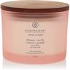 Chesapeake Bay Candle Stillness & Purity (Rose Water) 3 stoppini & Purity (Rose Water) Candela Profumata Vasetto
