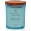 Chesapeake Bay Candle Reflection & Clarity (Sea Salt Sage) Piccola ion & Clarity (Sea Salt Sage) Candela Profumata Vasetto