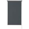GARDINIA EASYFIX Tenda a rullo Premium per oscuramento, Senza fori per incollaggio o fissaggio, Opaca, Schermo privacy, Antiabbagliamento, Parti di montaggio incluse, Grigio, 60 x 150 cm (LxA)