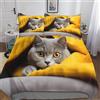 MEFESE gatto blu 3 Pezzi Copripiumino Natale Microfibra Morbida Con Fodere Per Cuscini Shorthair Kitty Copripiumino 3D Bedding Set All Size Anti-acaro Per Ragazzi E Ragazze King（220x240cm）
