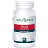 ERBA VITA GROUP SpA Psyllio 60 capsule - Erba Vita - 901292223