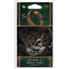 Fantasy Flight Games Il Signore degli Anelli LCG - Ritorno a Bosco Atro (Espansione)