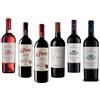 Enoteca MOTTURA Selezione Vini Pugliesi 6 Bottiglie Primitivo Manduria Negroamaro Salento