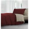 HomeLife Trapunta Invernale Una Piazza Made in Italy | Piumone una piazza e mezza invernale ideale Trapunta Autunnale una Piazza e Mezza | Trapunte Invernali Piazza e Mezza, 220X260 Bordeaux/Crema
