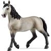 Schleich 13955 Giumenta Cheval de Selle Francais, da 5 anni, HORSE CLUB - Figura, 4 x 14 x 12 cm