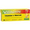 Phyto Garda Vitadyn Vitamine/minerali 40 Compresse Effervescenti In 2 Tubi