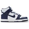 Nike Dunk High (Gs)