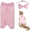 PFLYPF Tuta da Castrazione per Animali Domestici Con Papillon - Anti-Morso e Anti-Perdite, Quattro Zampe, per Gattini e Cuccioli (Rosa/M)