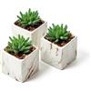 Nordik By Design Nordik - Set di quattro piante grasse artificiali in miniatura, geometriche, rotonde, nere, perfette per bagno, camera da letto, decorazione estetica in ceramica, per ufficio o soggiorno, ideale per