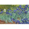 AveJoys Puzzle per adulti 1000 pezzi Iridi di Vincent Van Gogh 70 x 50 cm Puzzle per adulti Gioco educativo 1000 pezzi Puzzle di Van Gogh per adulti e bambini