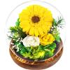 Touloube Regali di la Festa Della Mamma per le Donne Regalo di Girasole per Moglie,Girasoli Infiniti Eterni in Vetro,Fiori Regalo di Compleanno Ispiratore del Sole per Amica Mamma Nonna Insegnante Fidanzate