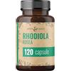 CDF Sports & Health Solutions Capsule di Rhodiola Rosea - 120 capsule - Radice di rosa Rhodiola Rosea - Capsule di radice di rosa altamente dosate - Vegane - Senza additivi