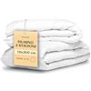 Wendre Piumino 4 Stagioni Letto Singolo 135x200 - Set 2 Piumini 150+250 GSM
