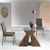 LIBEROSHOPPING.eu - LA TUA CASA IN UN CL Tavolo fisso per sala da pranzo con base in legno Teak e piano in vetro ZEFIRO (Trasparente)