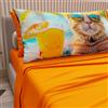 PETTI Artigiani Italiani - Lenzuola Animali con Gatti in Cotone con Federe in Stampa Digitale, Lenzuola Letto Singolo, Completo Letto Singolo Arancio, 100% Made in Italy