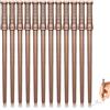 Leikurvo 12 matite magiche in legno naturale, multifunzionale, per feste magiche a tema, regali, decorazione a tema, feste di compleanno, regali