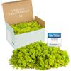 Mia Milano I Muschio Stabilizzato Islandese I Muschio Naturale per Parete, Presepe, Decorazioni o Modellismo I Verde Chiaro I 1 kg