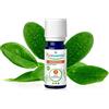 Puressentiel olio essenziale ravinstara bio 10 ml - Puressentiel - 981370024
