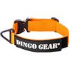 DINGO GEAR WWW.DINGOGEAR.COM 1977 DINGO GEAR - Collare per cani Cobra con fibbia di sicurezza professionale ed etichetta attaccata con chiusura in velcro, collare affidabile per addestramento alla difesa, attività speciali,