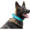 DINGO GEAR WWW.DINGOGEAR.COM 1977 DINGO GEAR Drago - Collare per cani in pelle, ammortizzato, con manico largo e resistente, fatto a mano, circonferenza del collo 40-48 cm, per allenamento e passeggiate, protezione da tiro,
